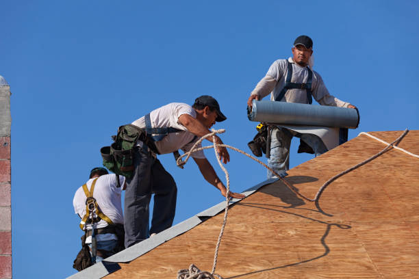 Roof Waterproofing Services in Shorewood Hills, WI